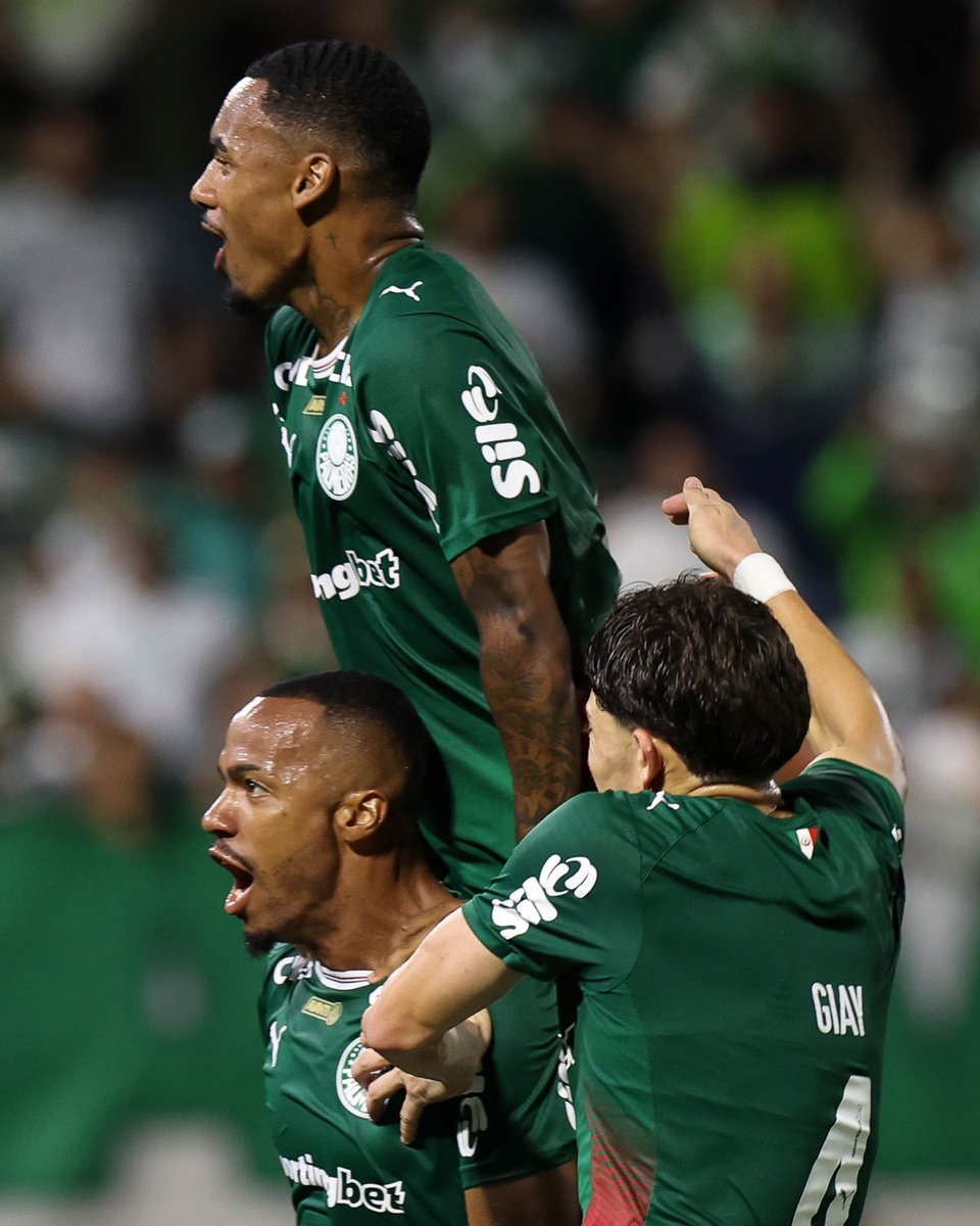 SE Palmeiras tweet media