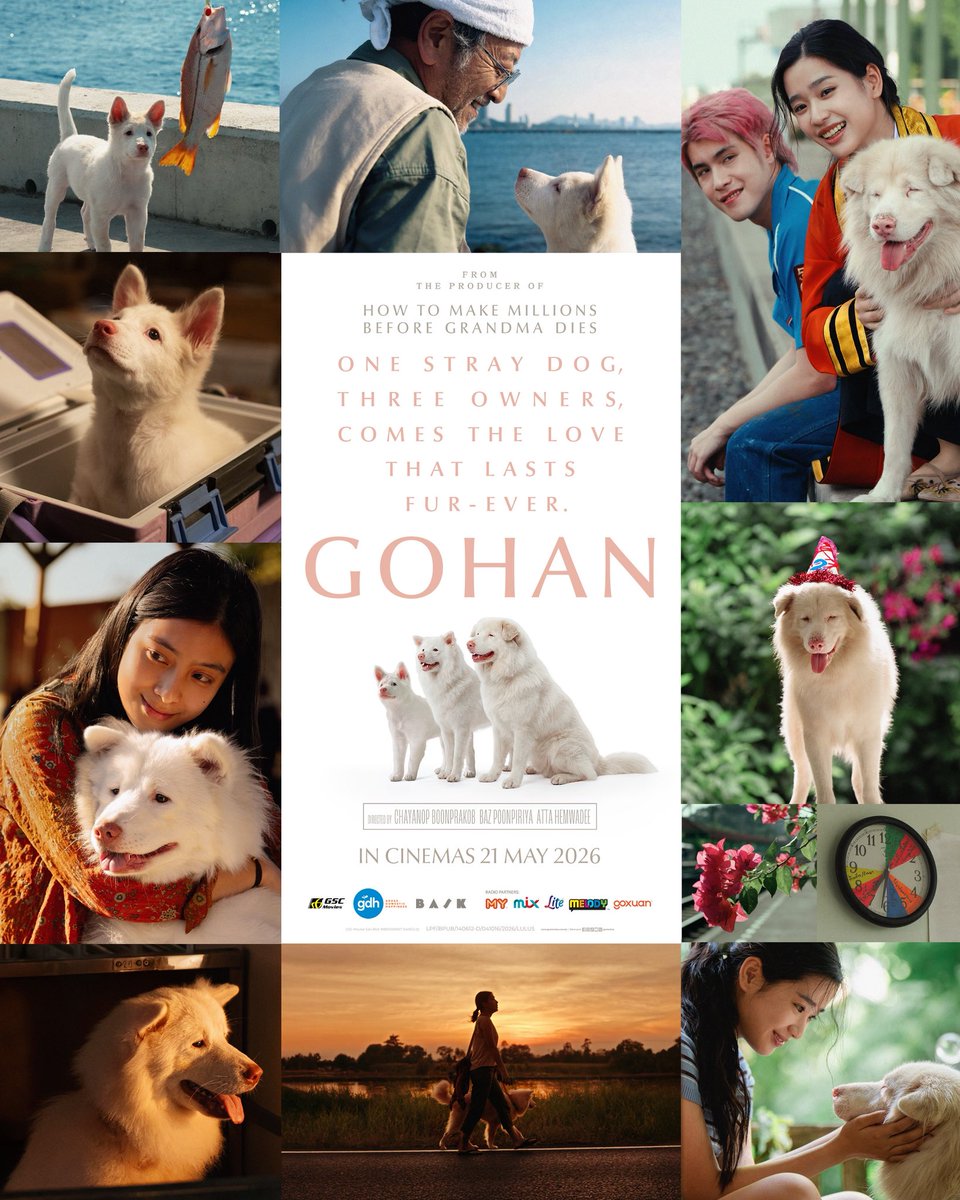 Three different owners. Three different homes. One dog who remembers it all. 🐾💔

A stray with a gentle heart, he gave everything he had — to every owner, every home, every goodbye. And somehow, he carried all those memories with him… quietly, faithfully.

From the producer of