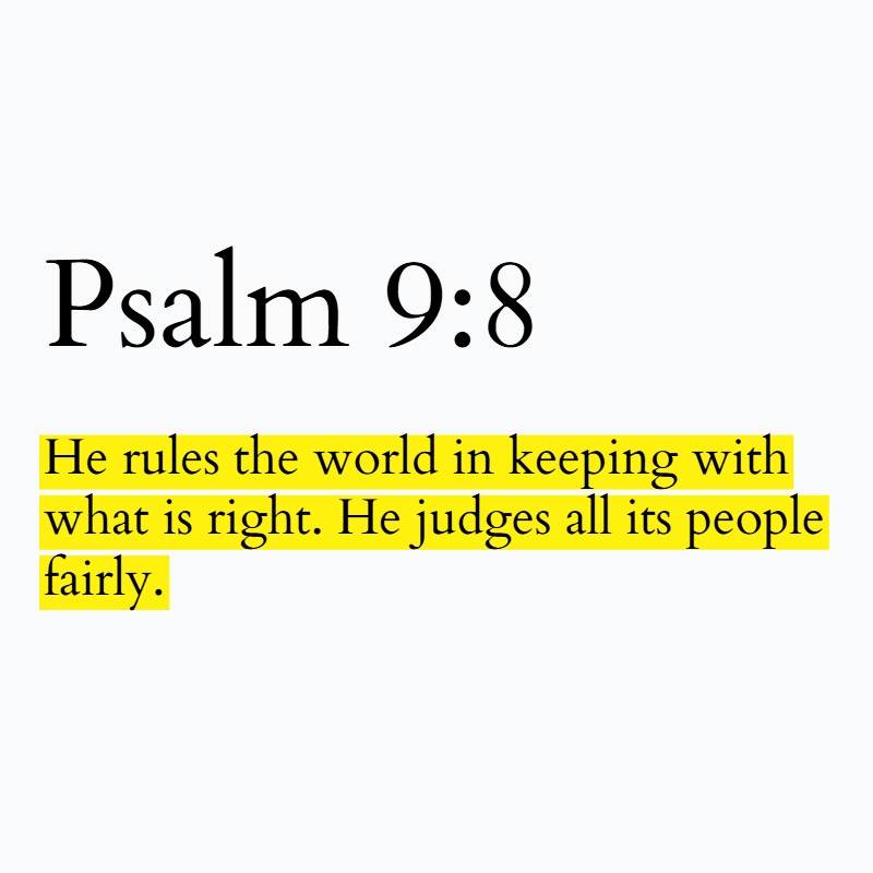 Holy Bible tweet media