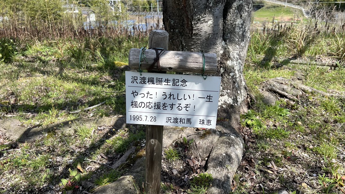 マツウラ tweet media