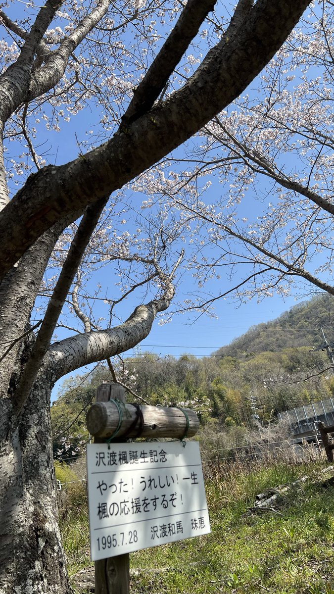 マツウラ tweet media