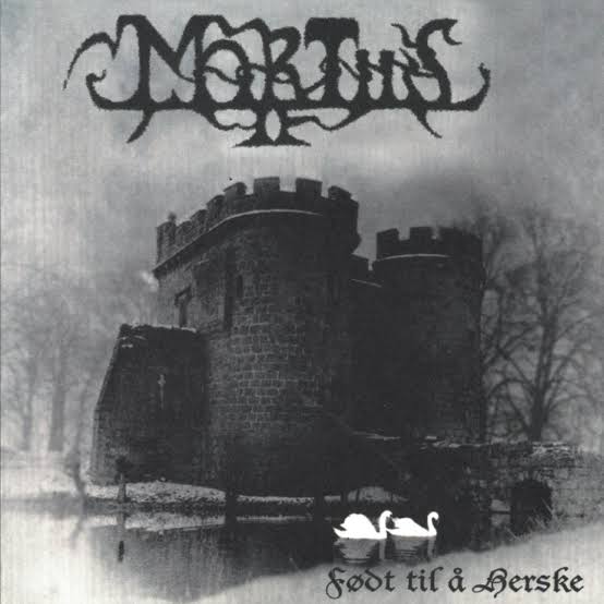 ⛧𝐒𝐎𝐀𝐑𝐀⛧ tweet media