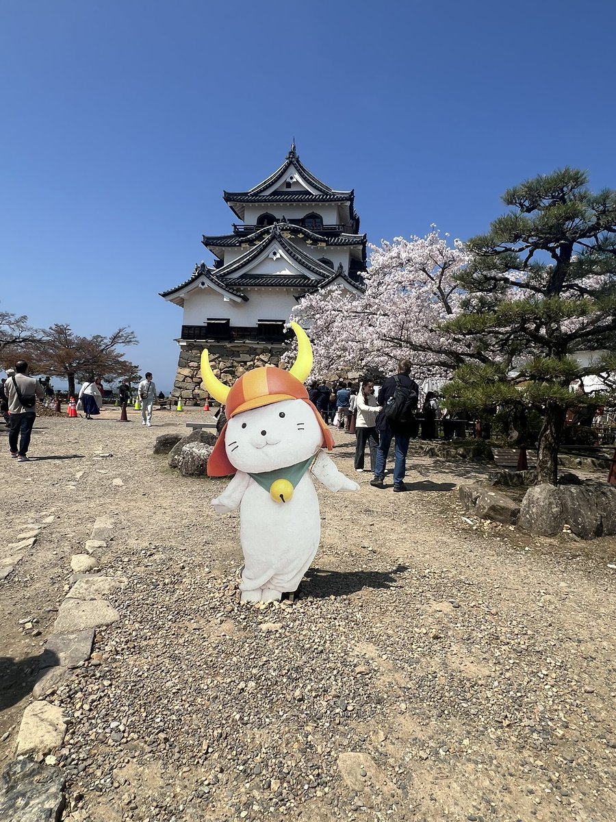 ぜろたん✞ w6 tweet media