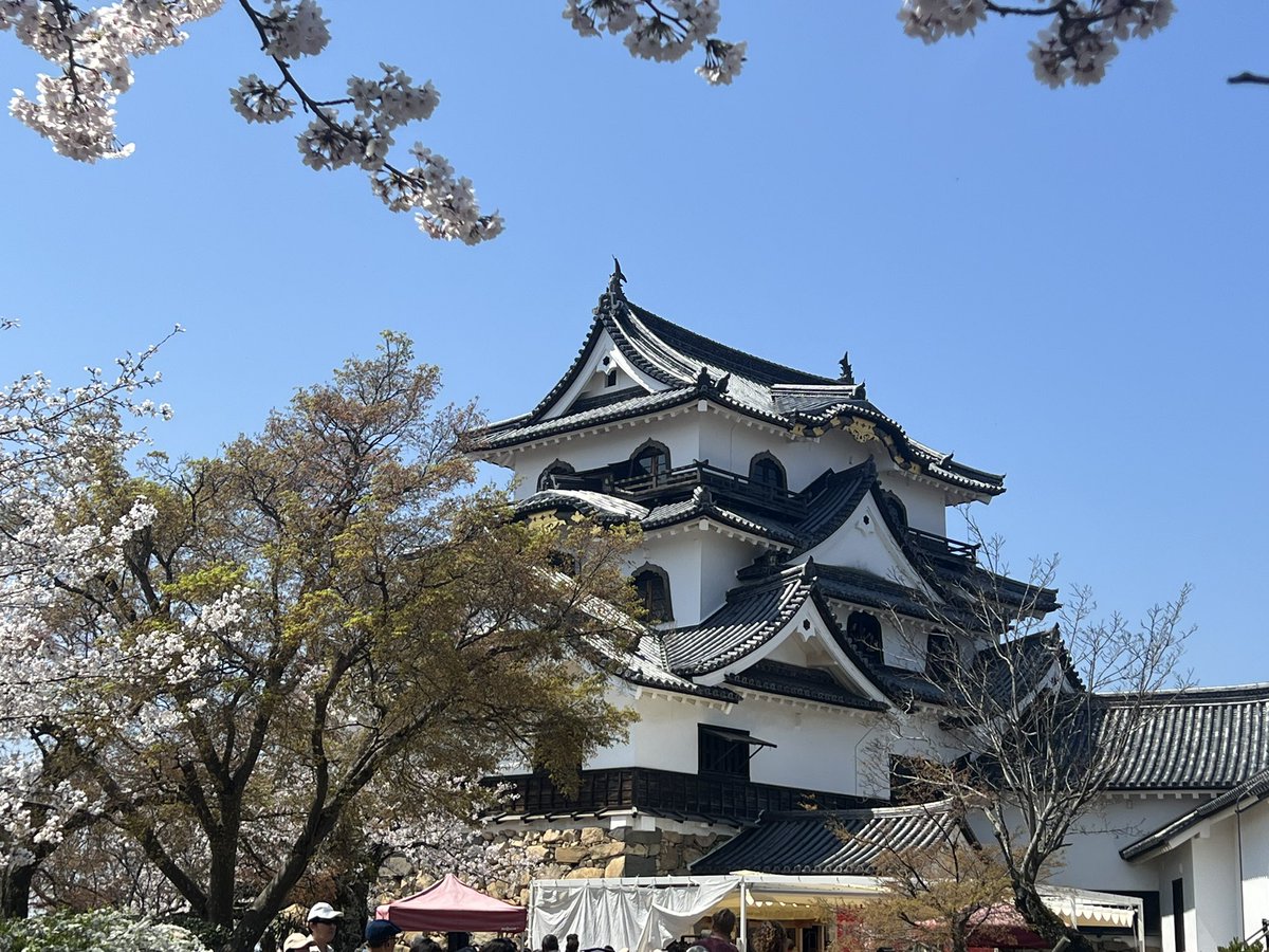 ぜろたん✞ w6 tweet media