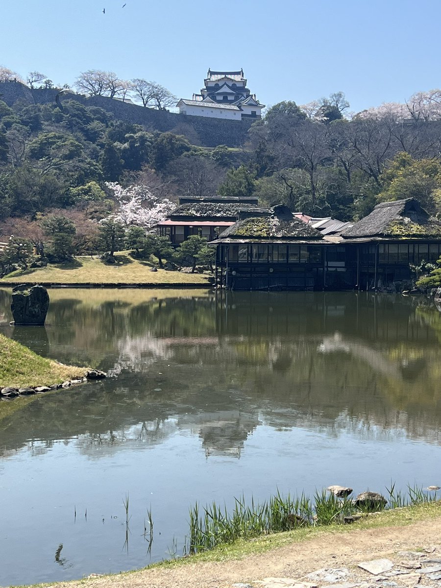 ぜろたん✞ w6 tweet media