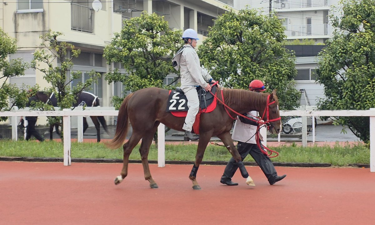 長友豊厩舎 tweet media