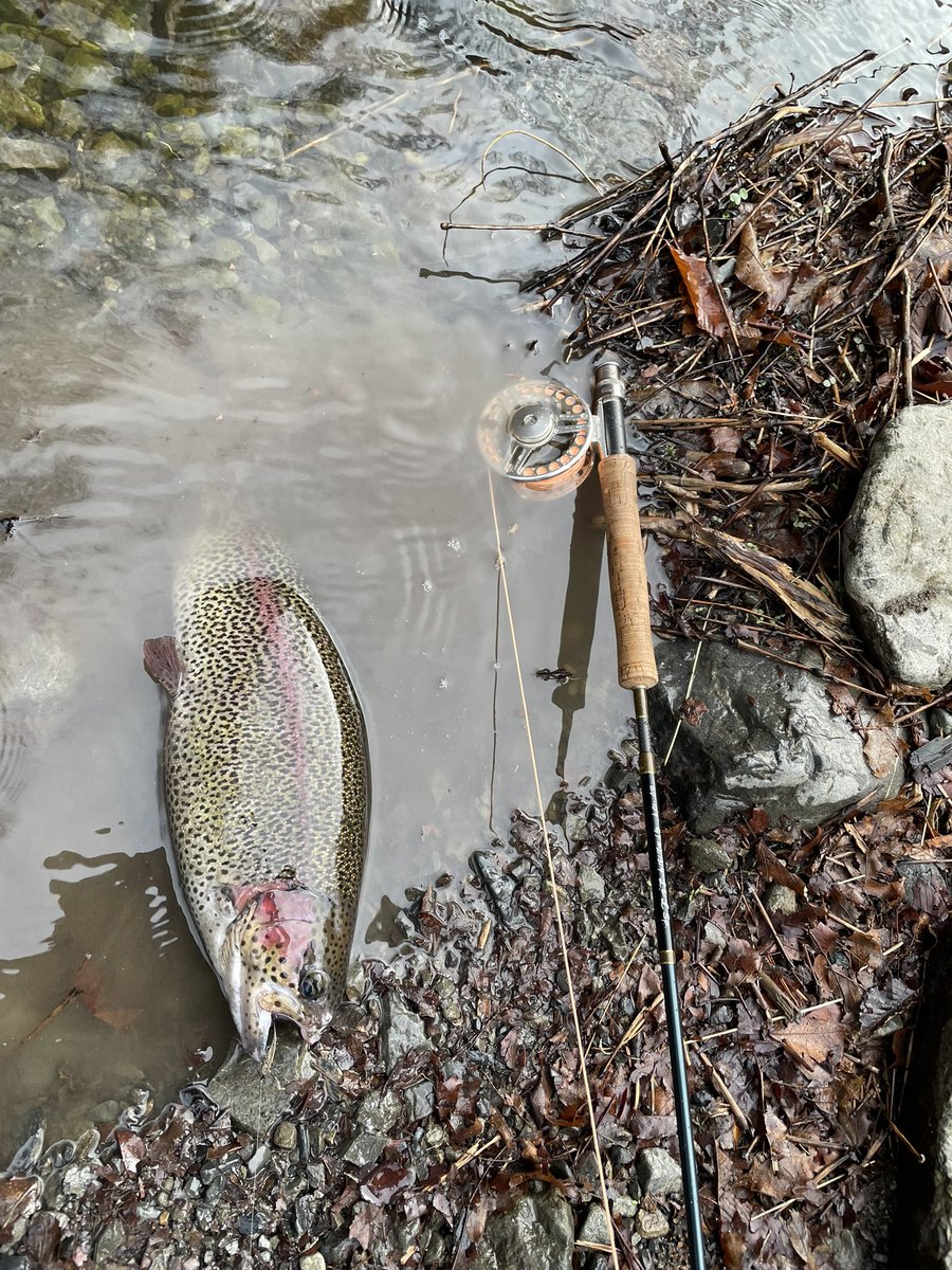 たぁとぉ〜 tweet media