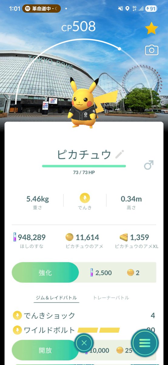 のらいぬ🐶 tweet media