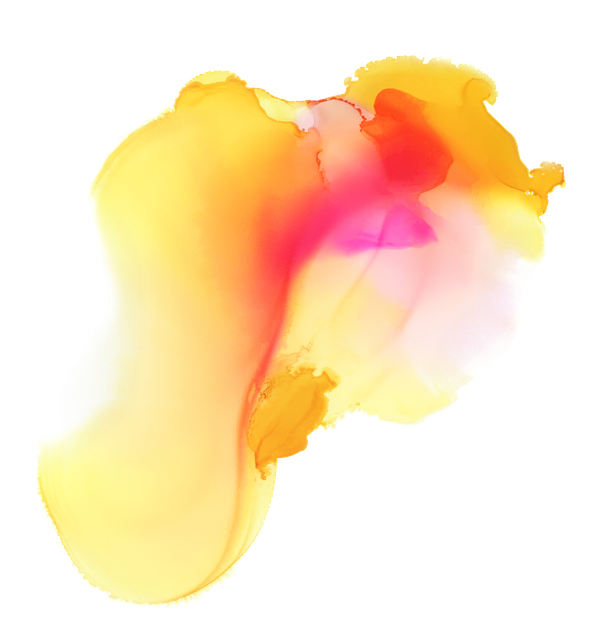 Cody Proctor tweet media