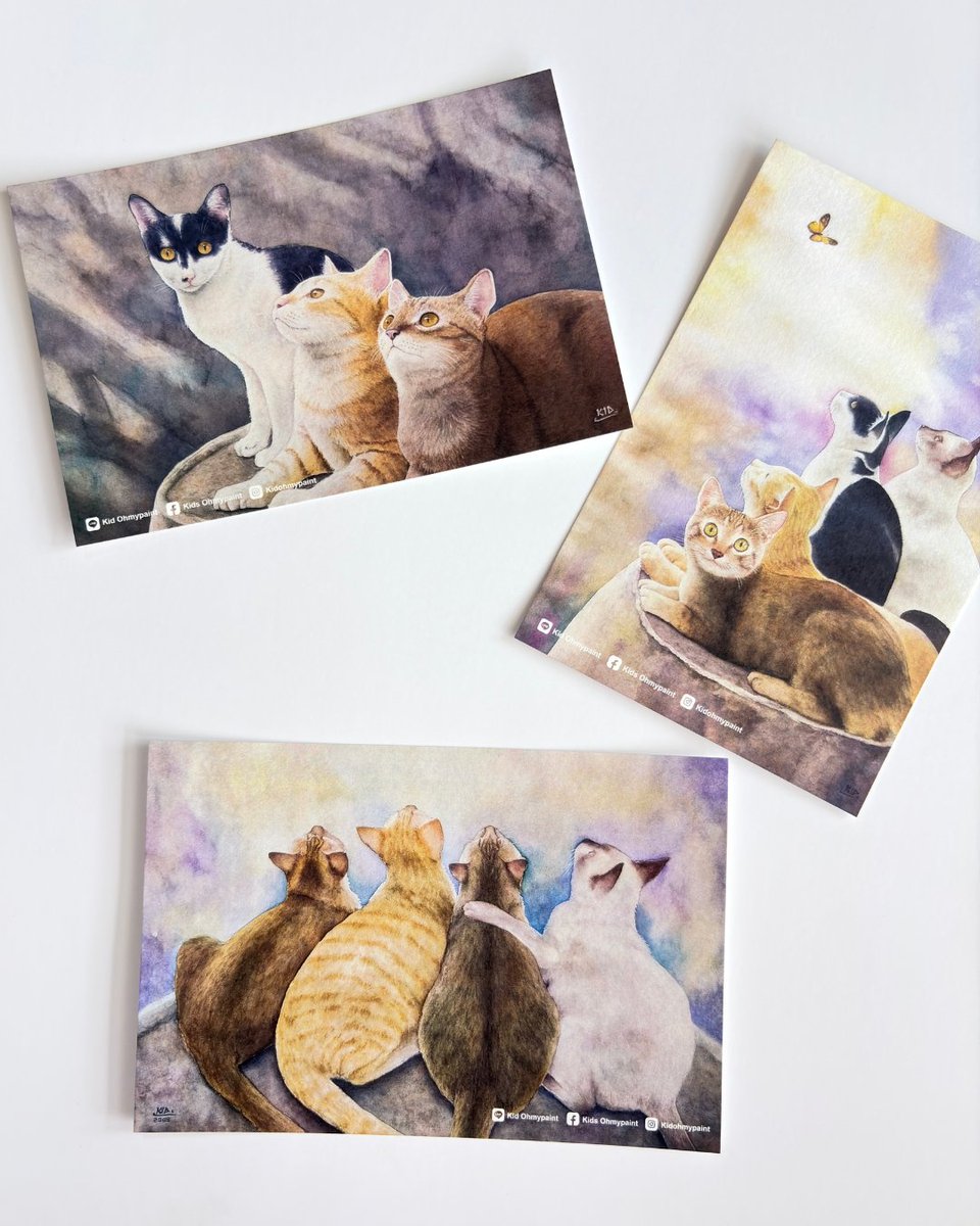 Ampaper (รับงานปกติค่า) tweet media