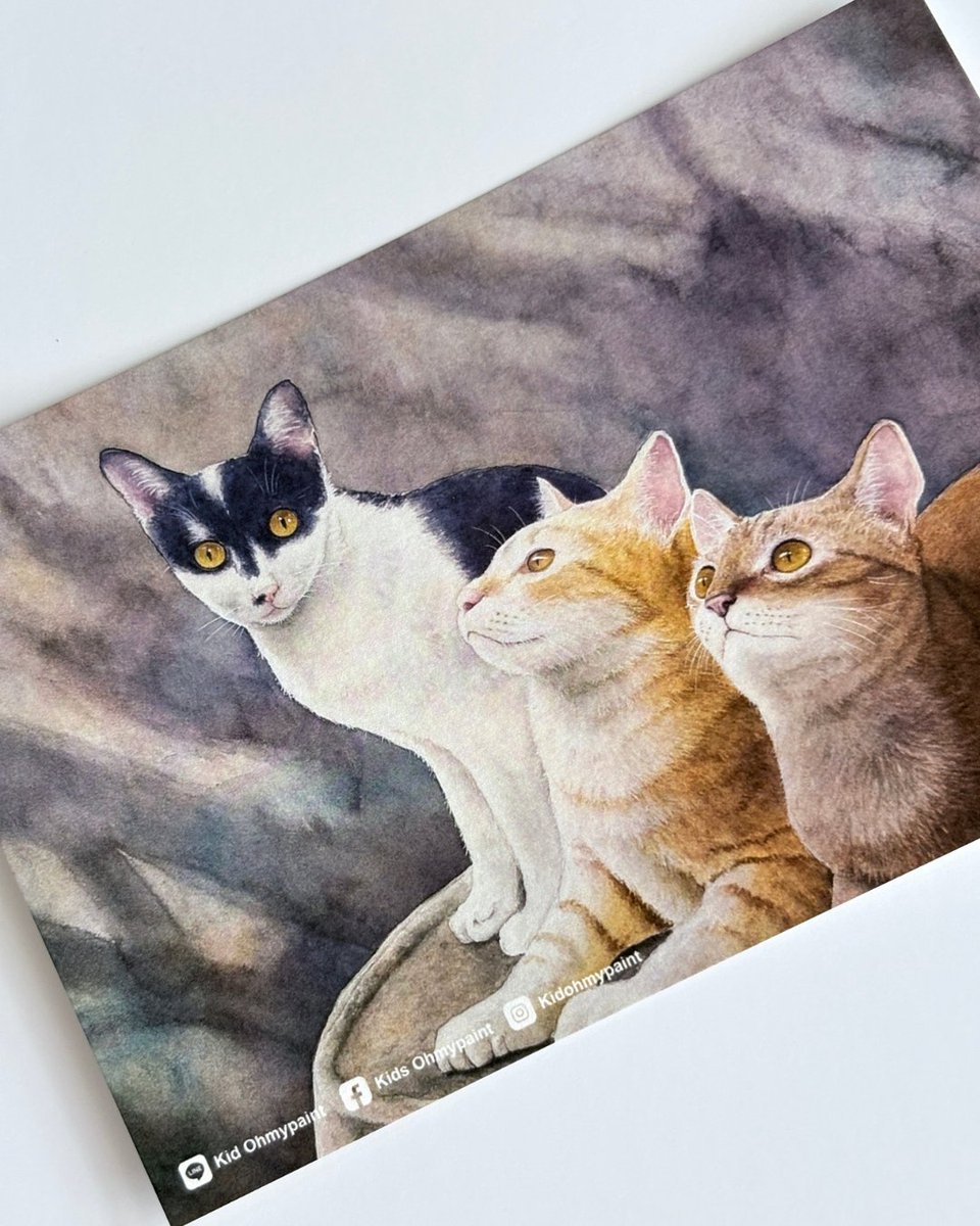 Ampaper (รับงานปกติค่า) tweet media