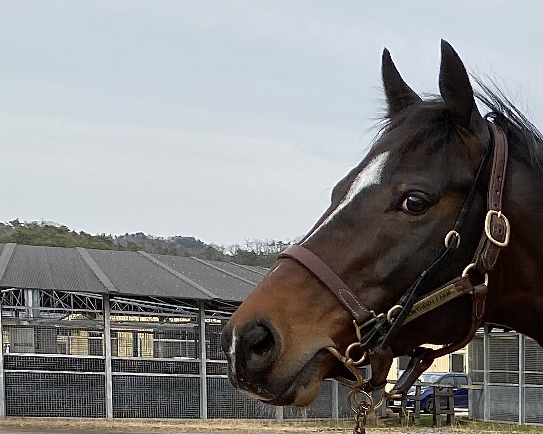 あん🥕🍚🦖✨ tweet media