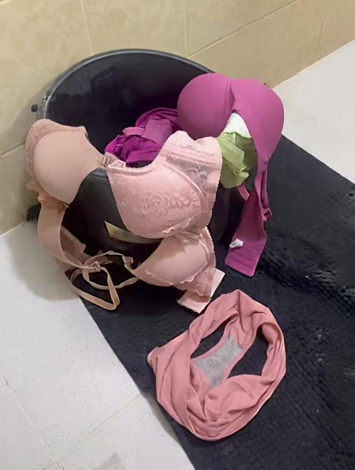 My Wife's Panties tweet media