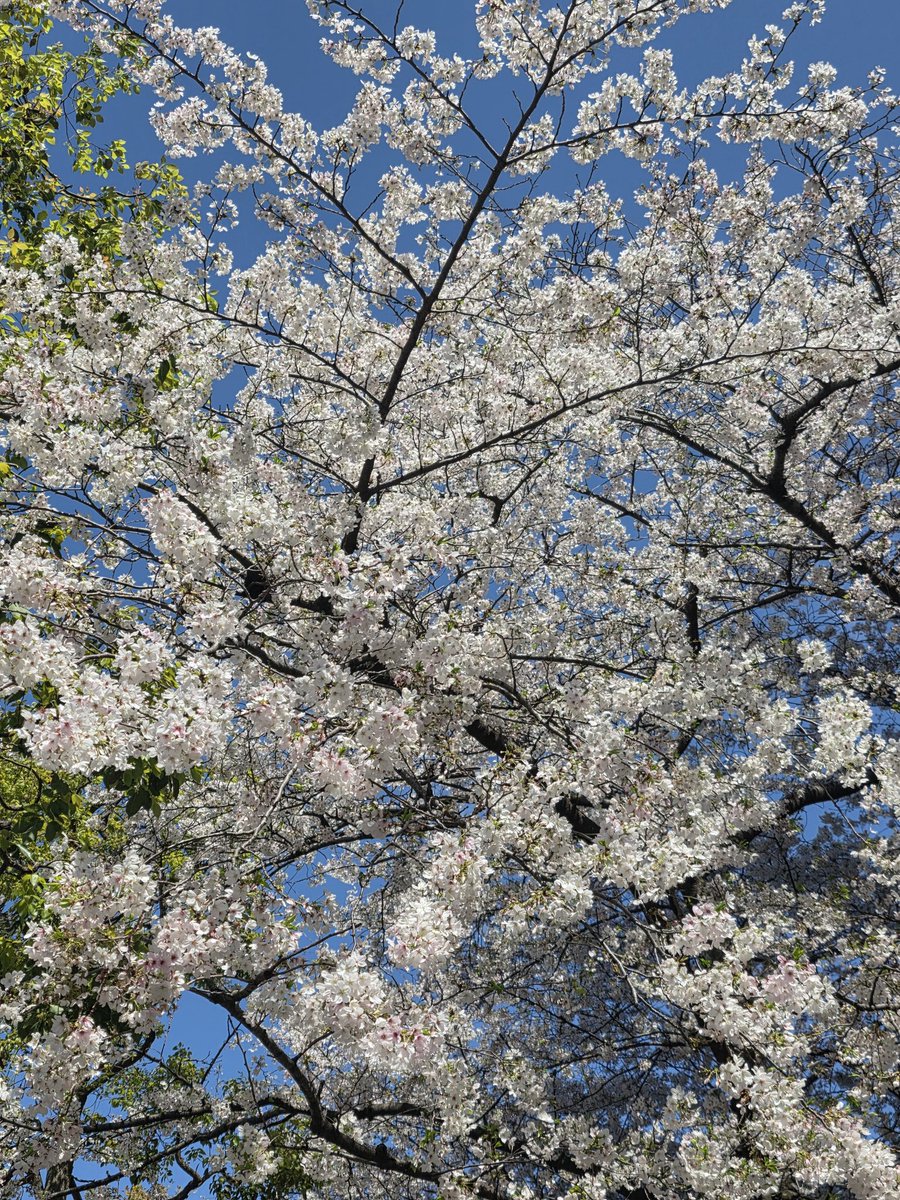 chamuりえ tweet media