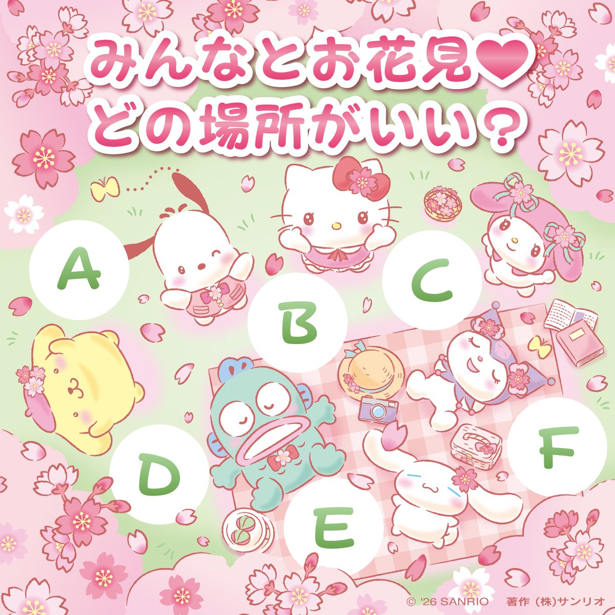 サンリオ【公式】 tweet media