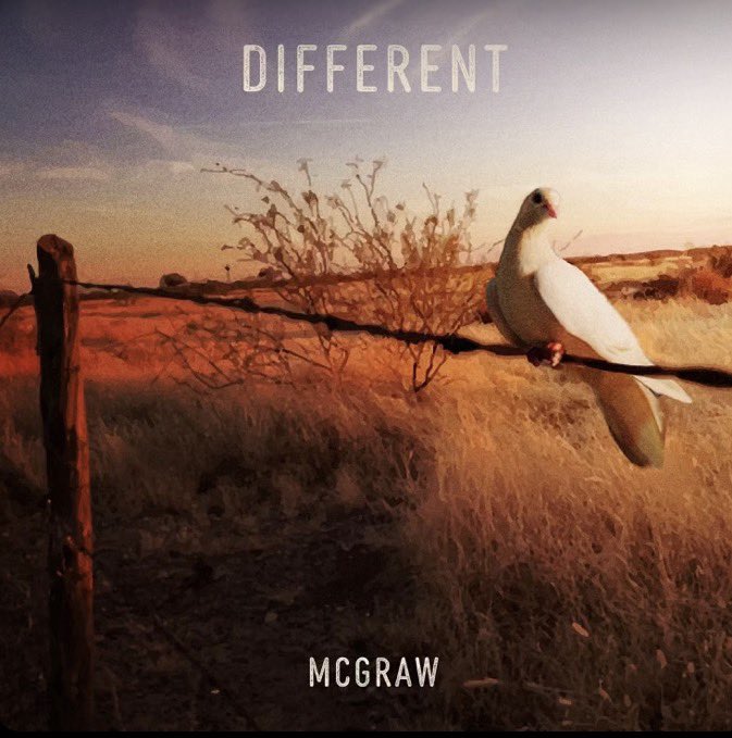 Faithful_Hill94 💃🌹 tweet media