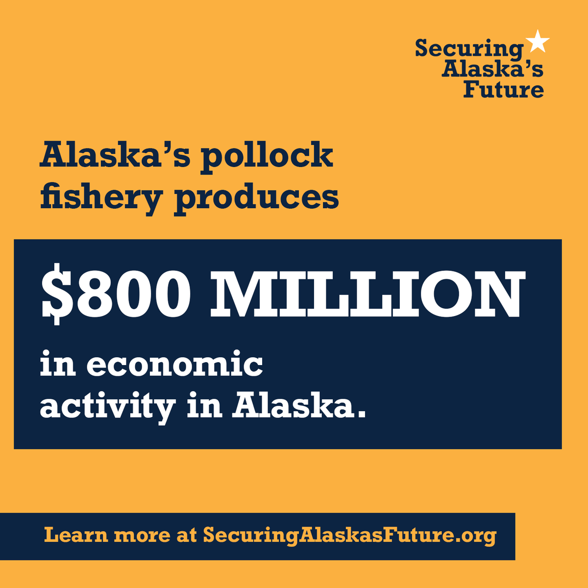 Securing Alaska's Future tweet media