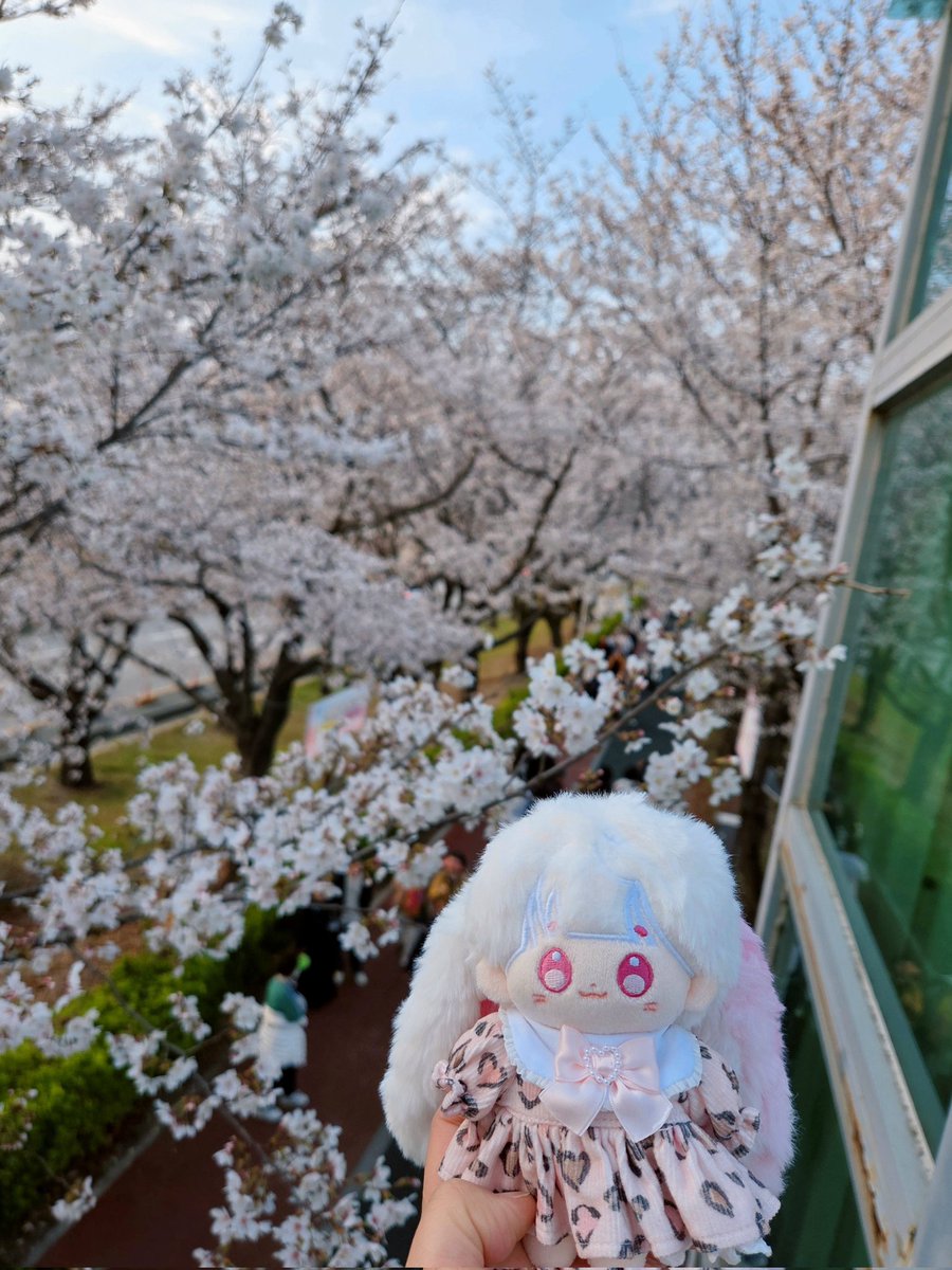 리둘💙 tweet media