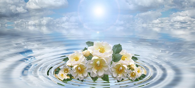 Nettie Candice tweet media