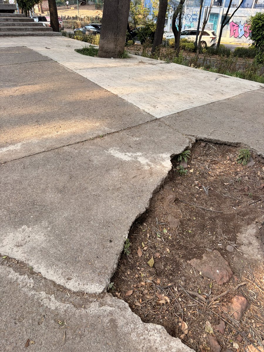 marcela_bull's tweet photo. Así tiene la @BJAlcaldia @LuisMendozaBJ @AccionesBJ la emblemática Glorieta Mariscal Sucre . El abandono e indiferencia es evidente. Basura tirada, áreas de niños tierrosas, sin mantenimiento, fuentes en abandono por años. Podrían hacer algo espectacular con este espacio tan iconico de la colonia del valle pero puede más su desinterés, su abandono y su indiferencia. Cc @Delvalle_Quejas