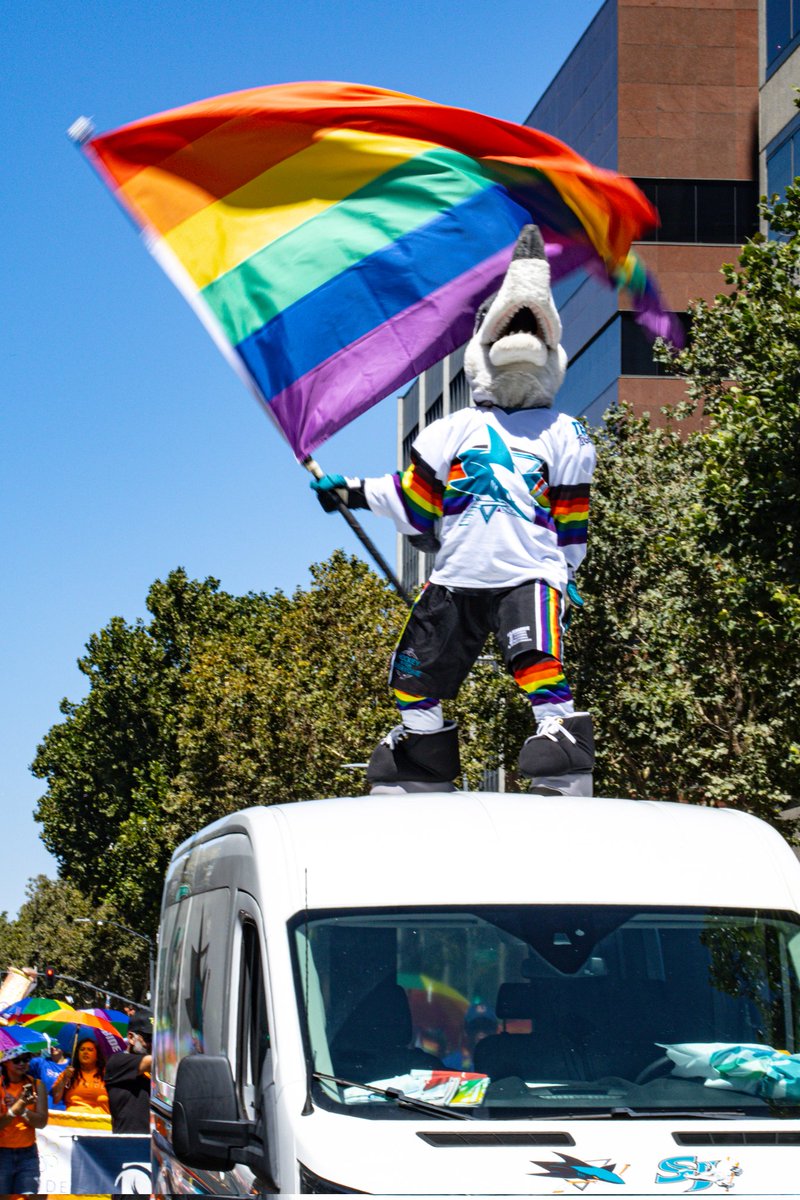 Teal City Crew 🦈🏴‍☠️ tweet media