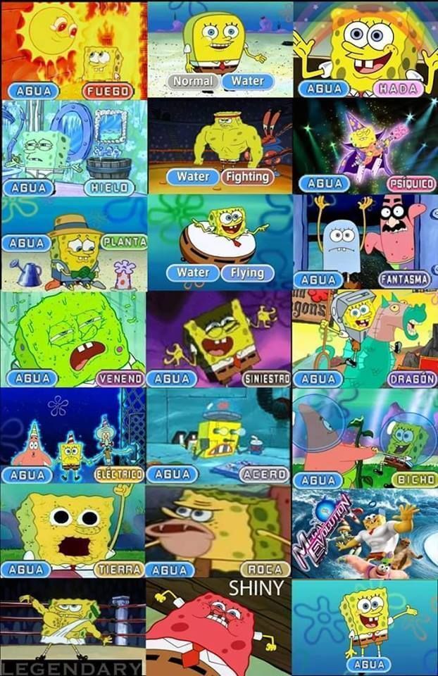 Pokémon Posts tweet media