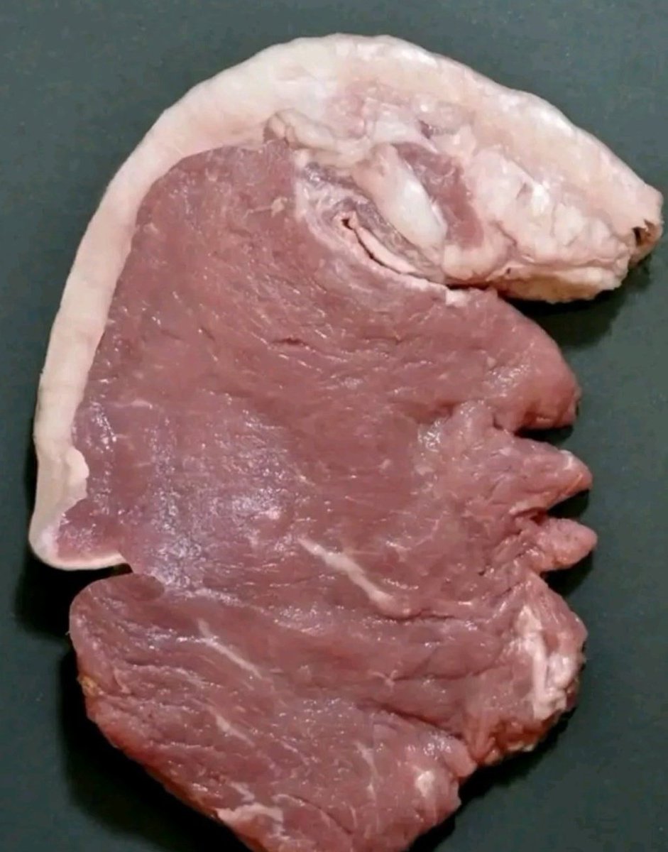 Nous Jeunes Leaders tweet media