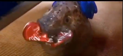 The Uninvited Heckler tweet media