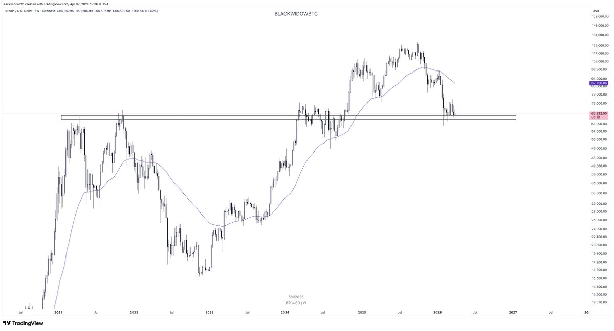 ₿lackwidow 🕷 tweet media