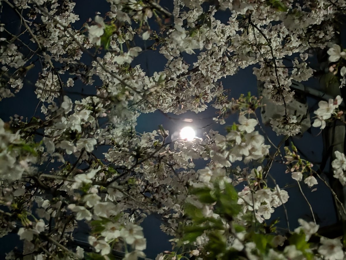 シゲノリ@プロスイムコーチ tweet media