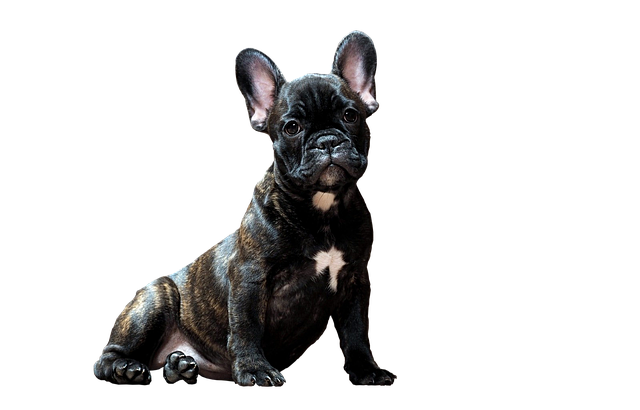 Ricky Baker tweet media