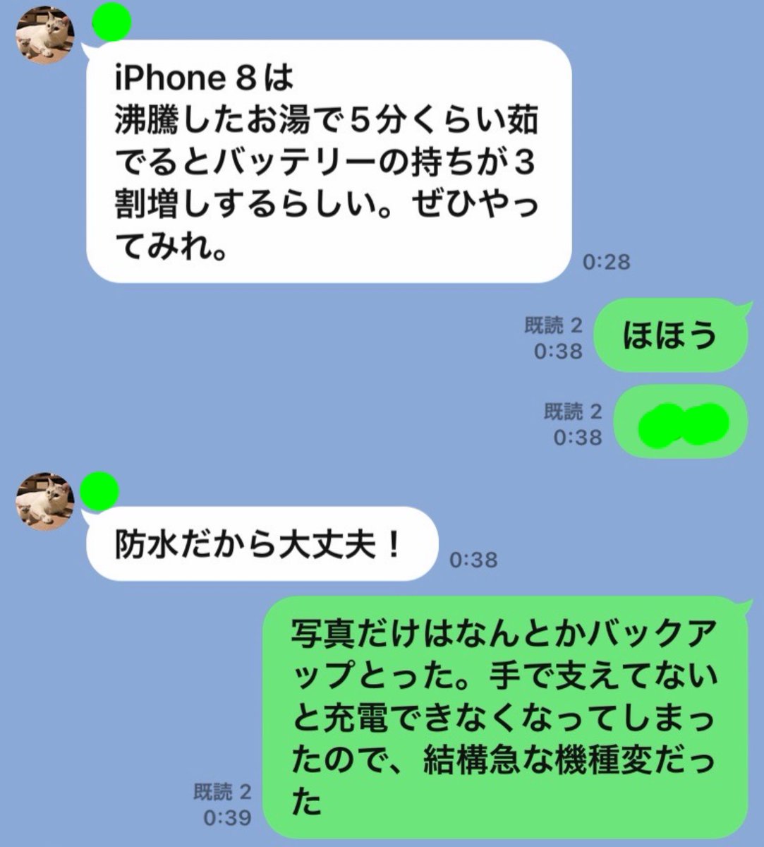 べりんこ tweet media