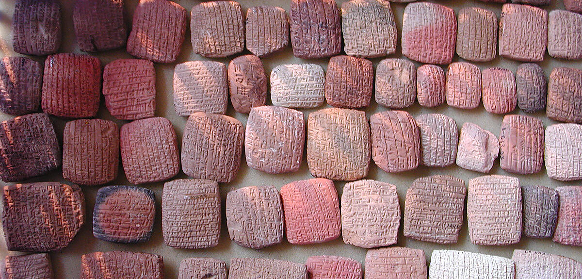 Bernadette Arnaud tweet media