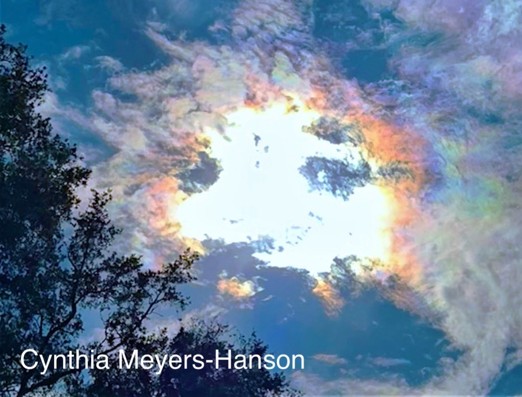 Sky-Princess-Cindy tweet media