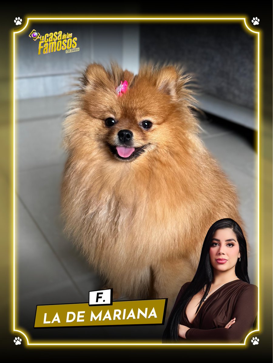 Canal RCN tweet media