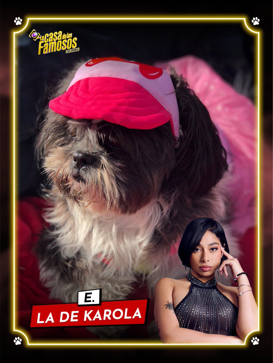 Canal RCN tweet media