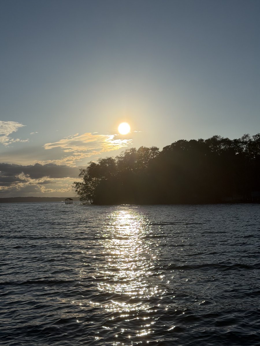 Carlos Fion tweet media