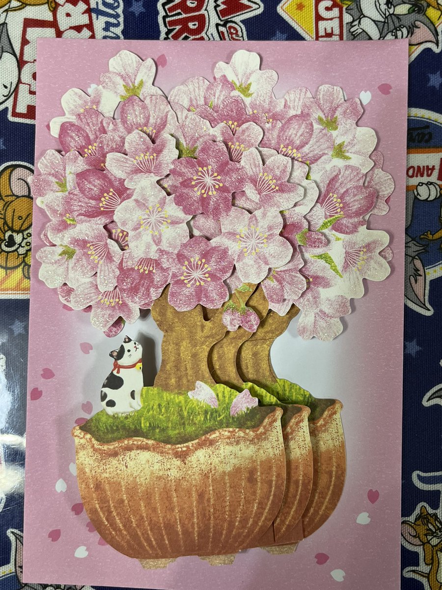 TOMO&JERRY tweet media