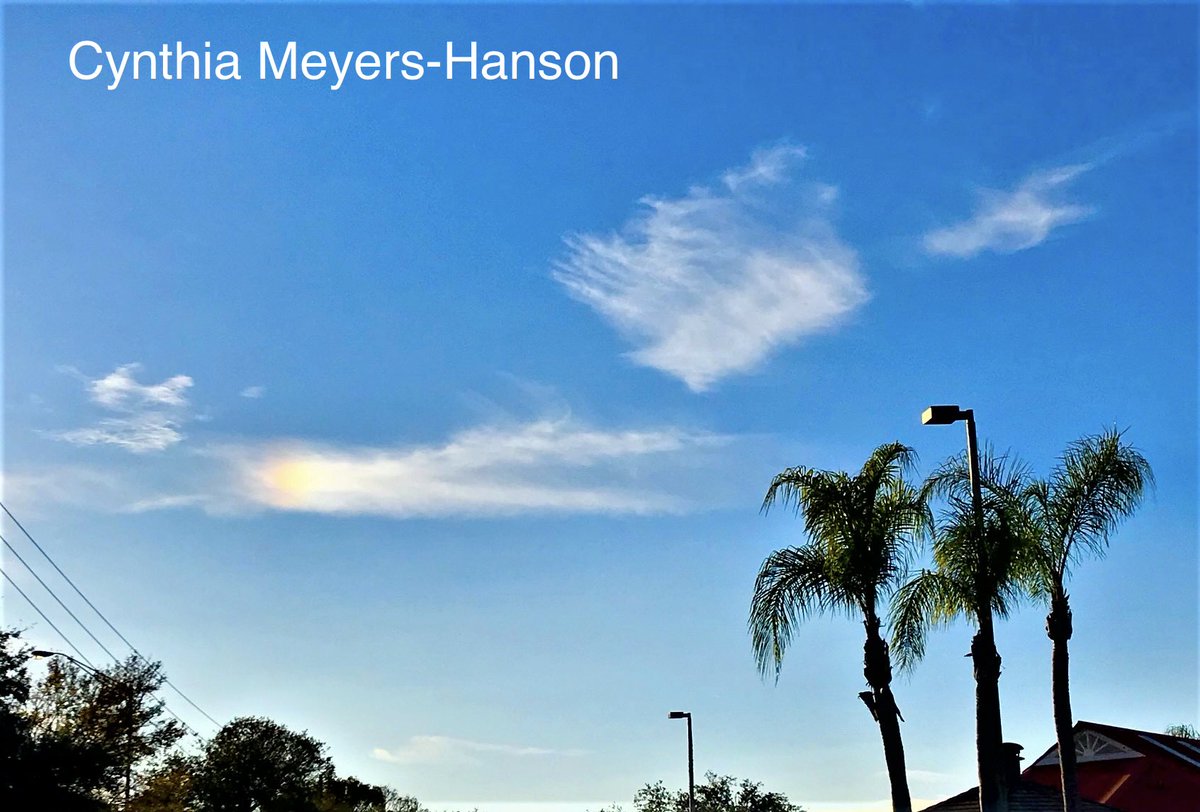 Sky-Princess-Cindy tweet media