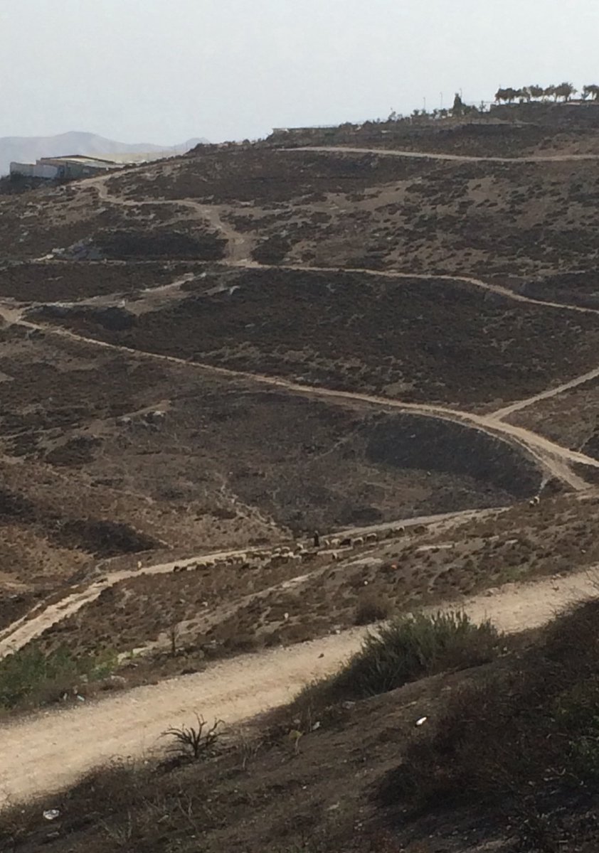 Ed Flynn tweet media