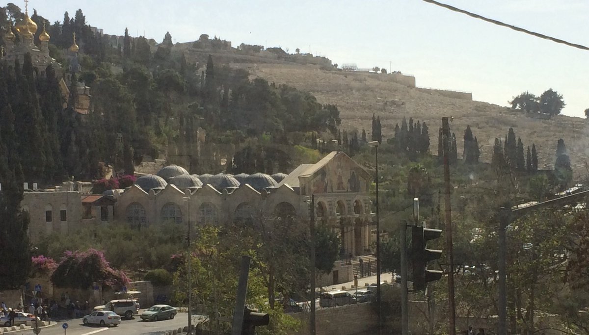 Ed Flynn tweet media