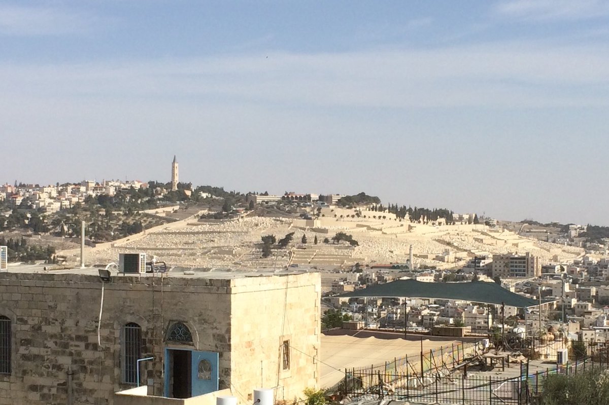 Ed Flynn tweet media