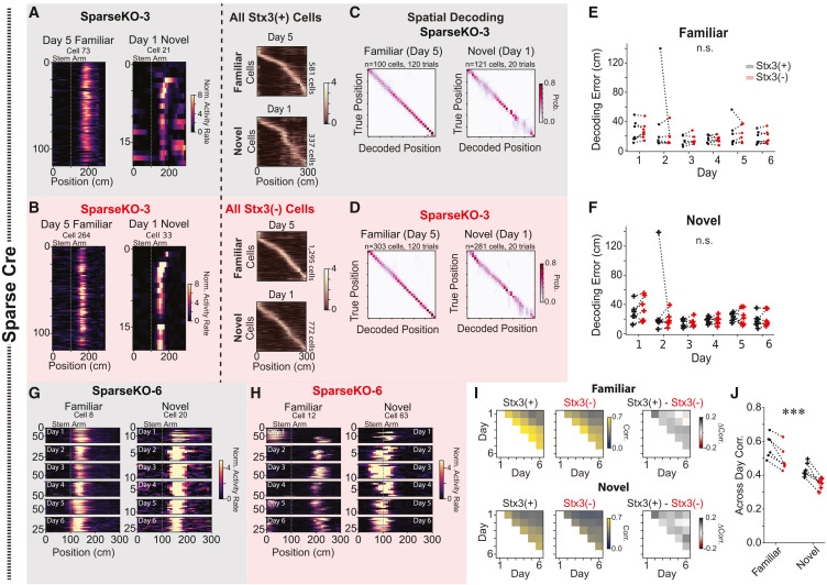 NeuroCellPress's tweet photo. Online now:  Hippocampal place code plasticity in CA1 requires postsynaptic membrane fusion https://t.co/EWppAlRefF https://t.co/9MyJGgNooL