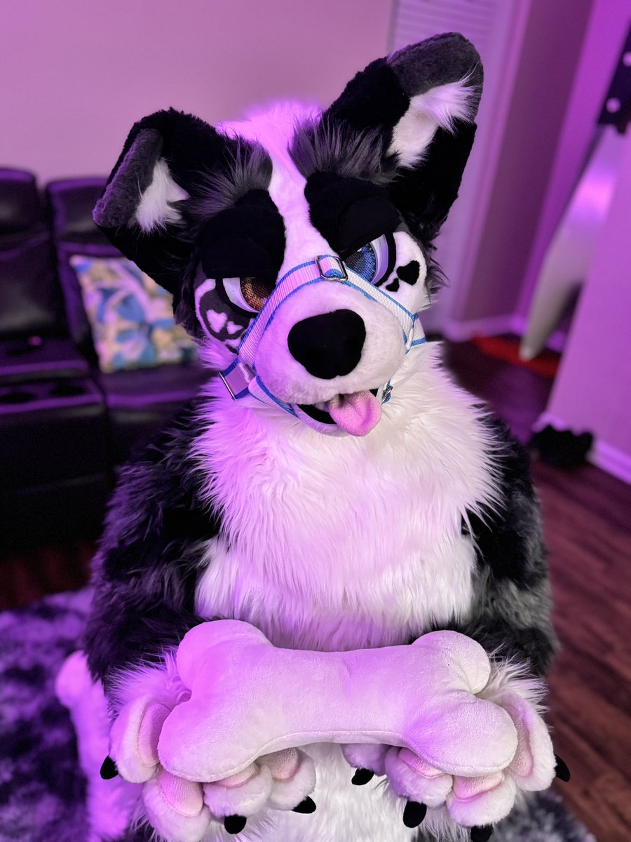 DIOR🐶 (2 PIECE) 🔜 LVFC 🎰 tweet media