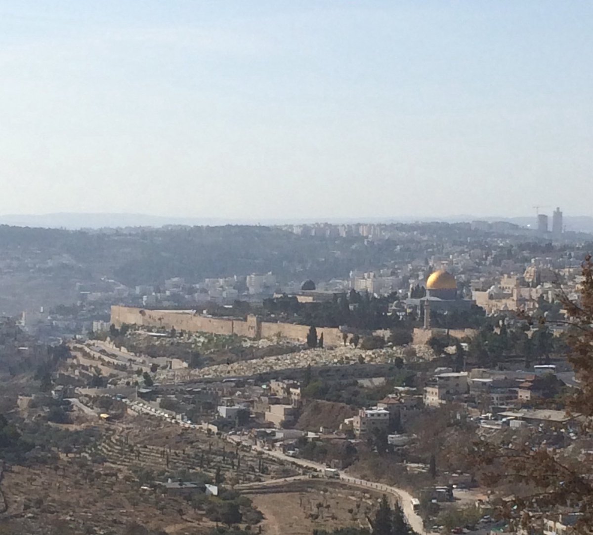 Ed Flynn tweet media