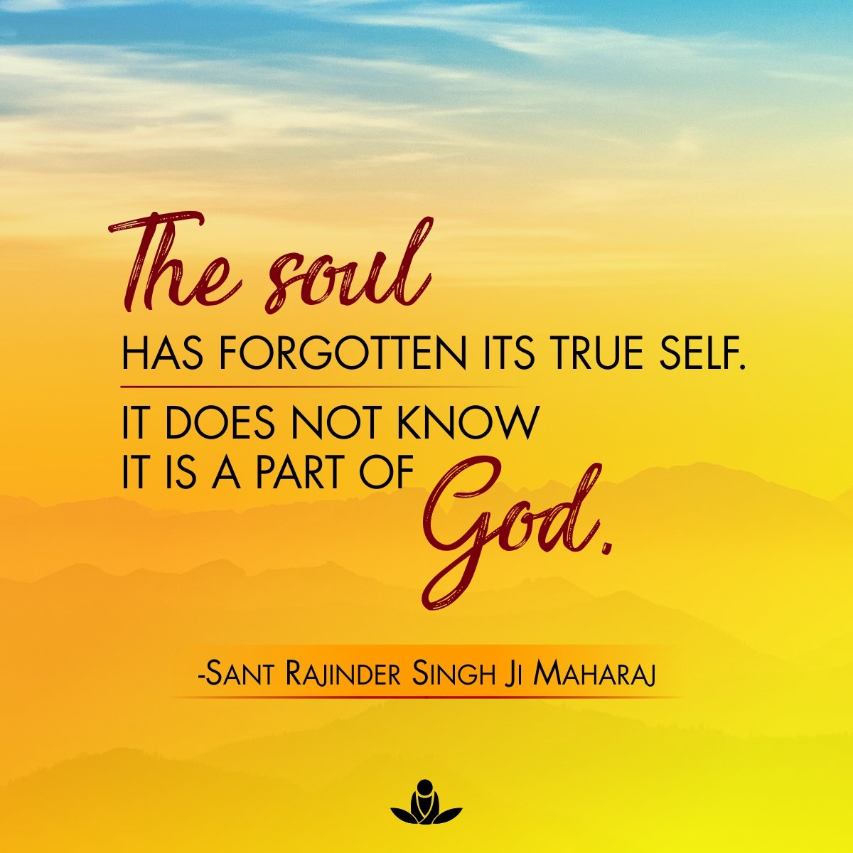 SOS Meditate tweet media