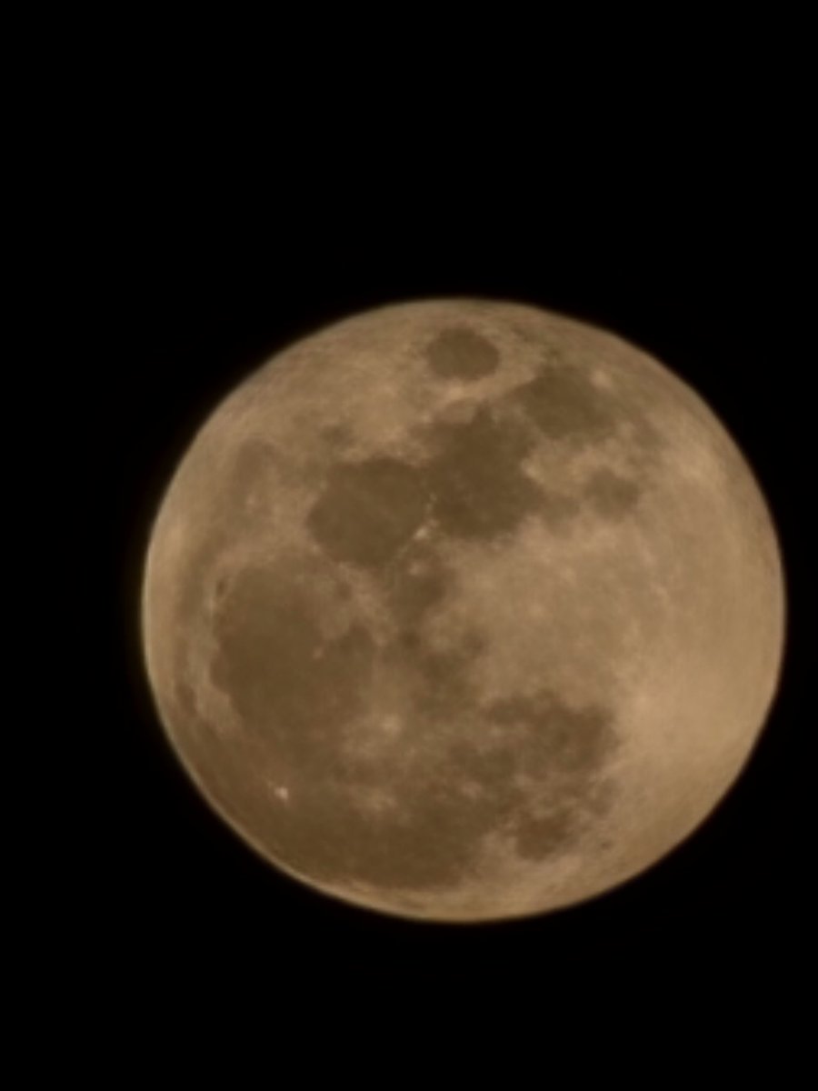 도라𑁤 tweet media