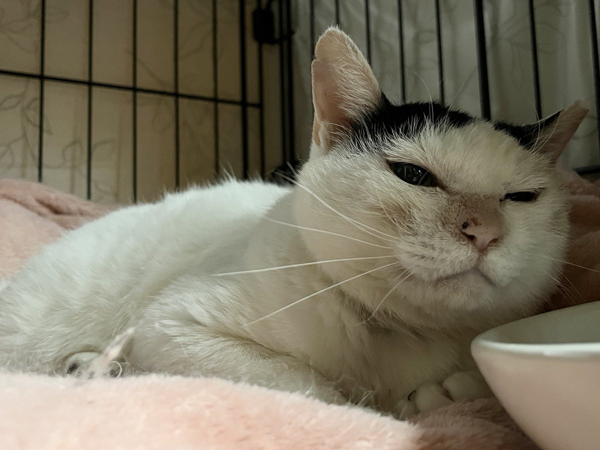 なかのひと的な2 tweet media