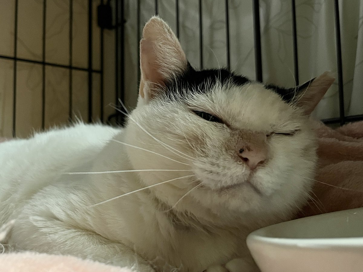 なかのひと的な2 tweet media