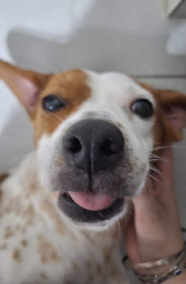 luisa ☽☾ tweet media